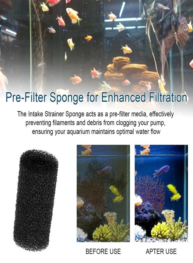 HCLSY 6 Pack Pre Filter Sponge, Aquarium Pre Filters Intake Sponge Replacement for Fluval AC20/AC30/AC50 Power Filter, Intake Strainer Sponge Use in Freshwater & Saltwater Aquariums - Image 4